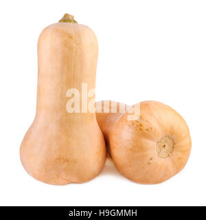 Pumpkins Butternut Stock Photo