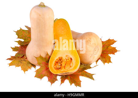 Pumpkins with fall leaves isolated on white Stock Photo