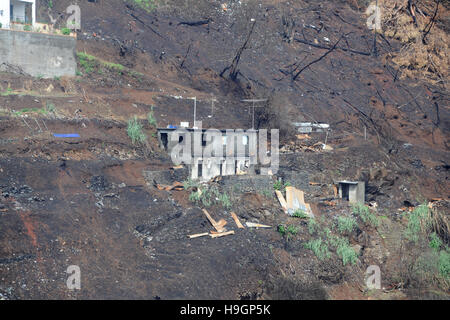 Fire damage in Funchal Madeira Portugal Stock Photo