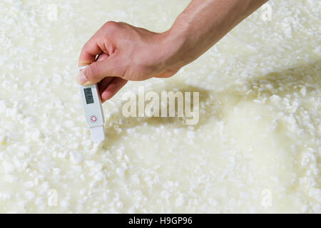 Cheesemaker measuring temperature with thermometer in a large steel tank full of milk Stock Photo