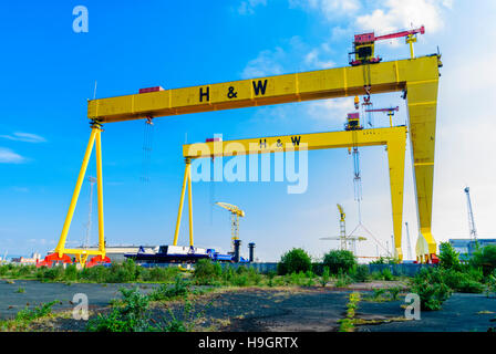 Samson and Goliath, famous yellow cranes in Belfast, able to lift 2000 tonnes between them, one of the most powerful engineering cranes in the world Stock Photo