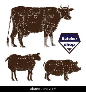 Set of farm animals for butcher shop with anatomic cut hand-drawn with chalk on blackboard Stock Vector