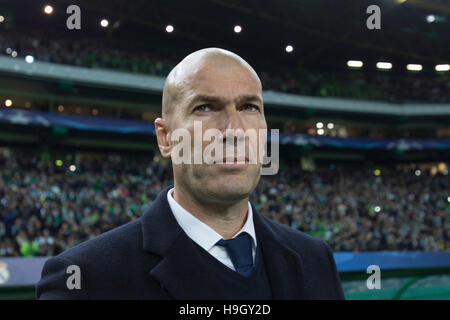 Lisbon, Portugal. 22nd Nov, 2016. Real Madrid's head coach from France Zinedine Zidane during the game of the UEFA Champions League, Group F, Sporting CP vs Real Madrid CF Credit:  Alexandre de Sousa/Alamy Live News Stock Photo