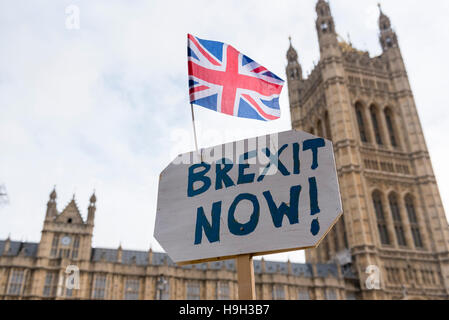 London, UK.  23 November 2016.  Pro-Brexit supporters stage a rally outside Parliament urging Theresa May, Prime Minister, to invoke Article 50 immediately, on the day when the Philip Hammond, Chancellor of the Exchequer, delivers his Autumn Statement. Credit:  Stephen Chung / Alamy Live News Stock Photo