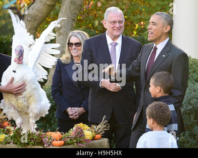 Washington DC, USA. 23rd November, 2016. United States President Barack Obama pardons the 2016 National Thanksgiving Turkey, Tater, and its alternate Tot, during a ceremony in the Rose Garden of the White House in Washington, DC. This is the 69th anniversary of this honored tradition began in 1947 by President Harry S Truman. Once pardoned the birds will be sent to their new home at Virginia Tech's Animal and Poultry Sciences Department at “Gobbler's Rest” in Blacksburg, Virginia where they will be cared for by students and veterinarians. Credit:  MediaPunch Inc/Alamy Live News Stock Photo