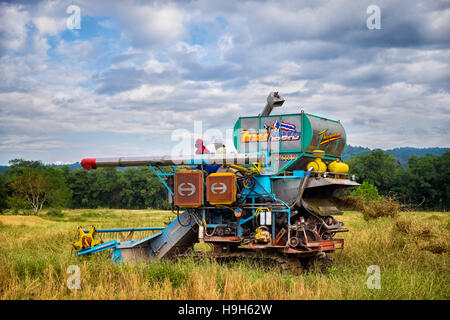 Nakhon Nayok, Thailand. 23rd Nov, 2016. Rice prices are at a 13 month low, creating hardships for Thailand's rice farmers as a colorful machine harvests rice in rural Thailand. Credit:  Lee Craker/Alamy Live News Stock Photo