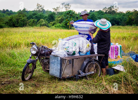 Nakhon Nayok, Thailand. 23rd Nov, 2016. Rice prices are at a 13 month low, creating hardships for Thailand's rice farmers as a couple transport bags of rice in rural Thailand. Credit:  Lee Craker/Alamy Live News Stock Photo