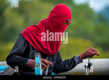 Nakhon Nayok, Thailand. 23rd Nov, 2016. A machine harvester operator dressed in a colorful protective t-shirt harvests rice in rural Thailand. Credit:  Lee Craker/Alamy Live News Stock Photo