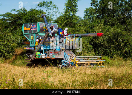 Nakhon Nayok, Thailand. 23rd Nov, 2016. Rice prices are at a 13 month low, creating hardships for Thailand's rice farmers as a harvesting machine harvests rice in Nakhon Nayok, Thailand. Credit:  Lee Craker/Alamy Live News Stock Photo
