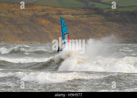 Weymouth, Dorset, UK.  24th November 2016.  UK Weather.  A windsurfer taking advantage of  the strong winds and choppy seas off Weymouth Beach in Dorset.  Photo by Graham Hunt/Alamy Live News Stock Photo