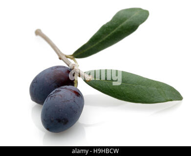 Black Olive with green leaves isolated on white background. Stock Photo