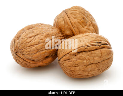 Walnut isolated on a white background Stock Photo