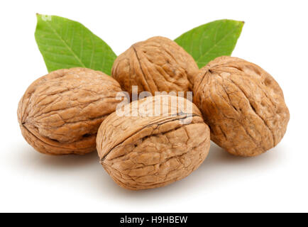 Walnut isolated on a white background Stock Photo