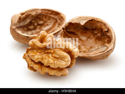 Peeled walnut and its kernels. Isolated on a white background Stock Photo