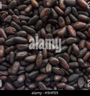 Fresh roasted cocoa beans dark background Stock Photo
