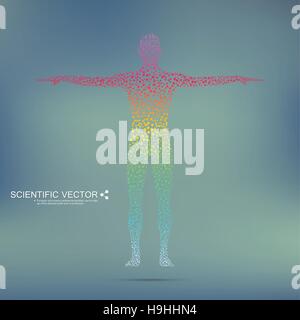 Structure molecule of man. Abstract model human body DNA . Medicine, science and technology. Scientific Vector for your design. Stock Vector