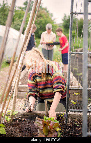 A volunteer at the Golden Hill Community Garden in Bristol UK Stock Photo