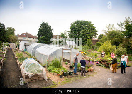 The Golden Hill Community Garden in Bristol UK Stock Photo