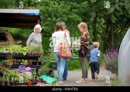 The Golden Hill Community Garden in Bristol UK Stock Photo