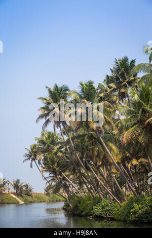 Scenic photograph of the waterways or backwaters near Alleppey, Kerala, India Stock Photo