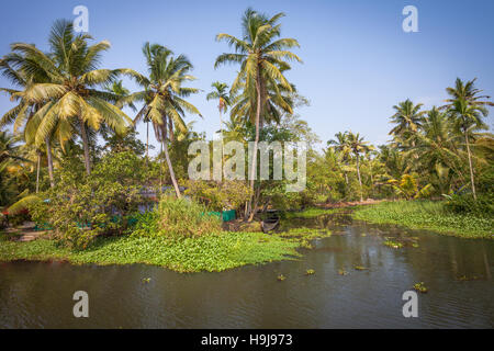 Scenic photograph of the waterways or backwaters near Alleppey, Kerala, India Stock Photo