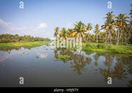 Scenic photograph of the waterways or backwaters near Alleppey, Kerala, India Stock Photo