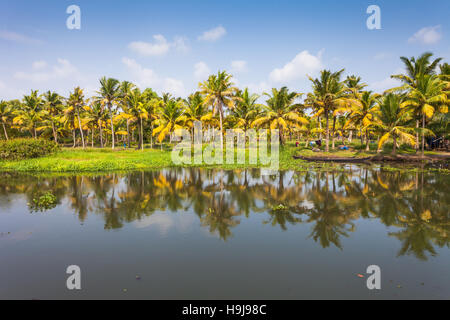 Scenic photograph of the waterways or backwaters near Alleppey, Kerala, India Stock Photo