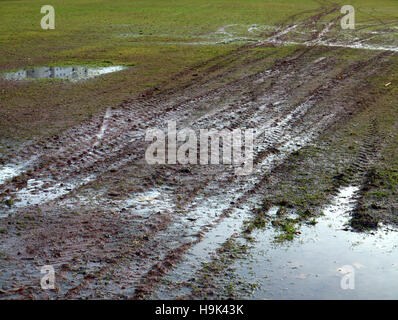 tractor byre tracks in mud with grass green Stock Photo