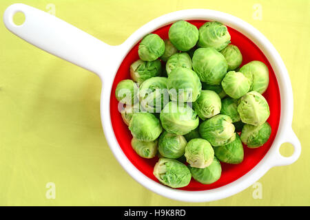 Fresh peeled raw brussels sprouts in red and white colander on bright yellow fabric background. Shot in natural light in horizontal format. Stock Photo