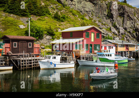 The picturesque small fishing village of Quidi Vidi near St. John's Newfoundland and Labrador, Canada. Stock Photo