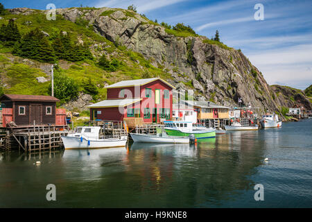 The picturesque small fishing village of Quidi Vidi near St. John's Newfoundland and Labrador, Canada. Stock Photo