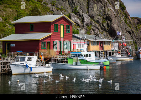 The picturesque small fishing village of Quidi Vidi near St. John's Newfoundland and Labrador, Canada. Stock Photo