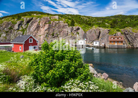 The picturesque small fishing village of Quidi Vidi near St. John's Newfoundland and Labrador, Canada. Stock Photo