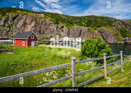 The picturesque small fishing village of Quidi Vidi near St. John's Newfoundland and Labrador, Canada. Stock Photo