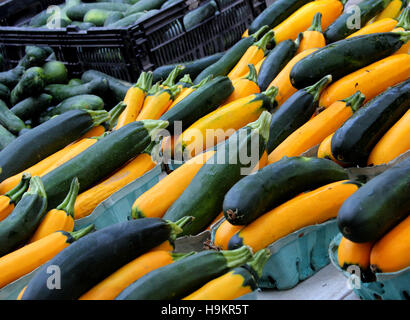 fresh squash -- zucchini and yellow squash -- on sale at farmers market Stock Photo