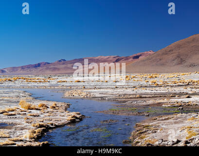 Bolivia Potosi Departmant Sur Lipez Province Eduardo Avaroa Andean Fauna National Reserve View of the Laguna Salada near hot Stock Photo