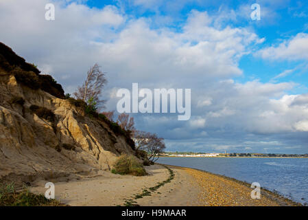 The beach at RSPB Arne, a nature reserve in Dorset, England Stock Photo