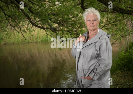 Dame Judi Dench posing in a countryside location
