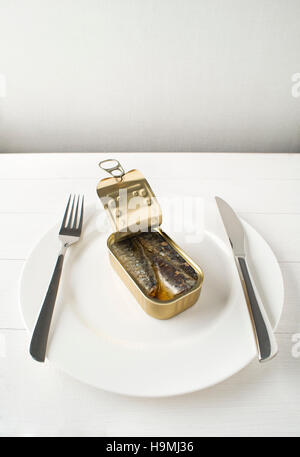 Tinned sardines in olive oil on white plate conceptual shoot