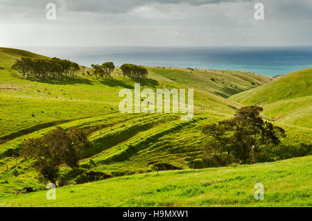 Green hills at Rapid Bay on Fleurieu Peninsula. Stock Photo