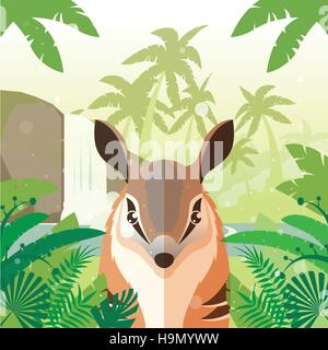 Flat Vector image of the Numbat on the Jungle Background Stock Vector