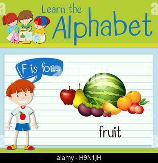 Flashcard letter F is for fruit illustration Stock Vector