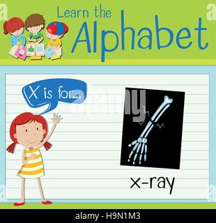 Flashcard letter X is for x-ray illustration Stock Vector