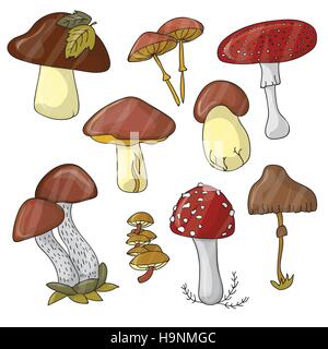 illustration with color mushrooms on white background Stock Vector
