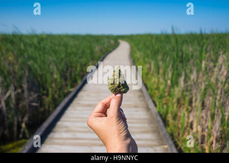 Hand holding cannabis bud against trail and blue sky landscape - medical marijuana concept Stock Photo