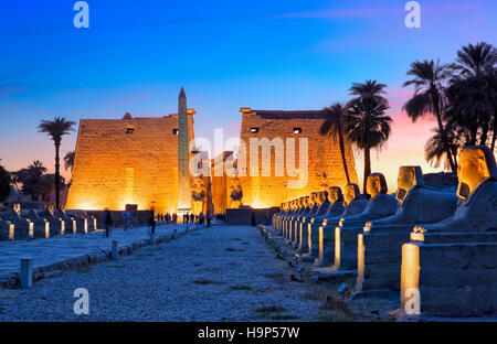 Luxor temple at night, Egypt Stock Photo