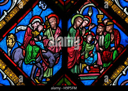Stained Glass window in the Cathedral of Caen, Normandy, France, depicting the Flight to Egypt and Christ among the Doctors Stock Photo
