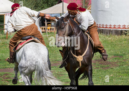 Kazakh men doing traditional nomadic arm wrestling on their horse, in Kazakhstan. Stock Photo