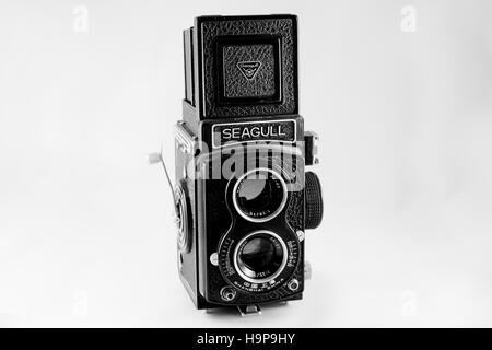 A 'Medium Format' 6x6 Seagull Film Camera Stock Photo