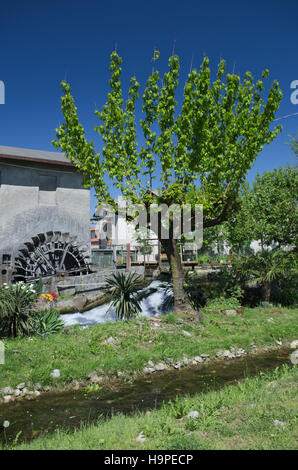 Wheel water mill in Reana del Rojale, Friuli, Italy Stock Photo